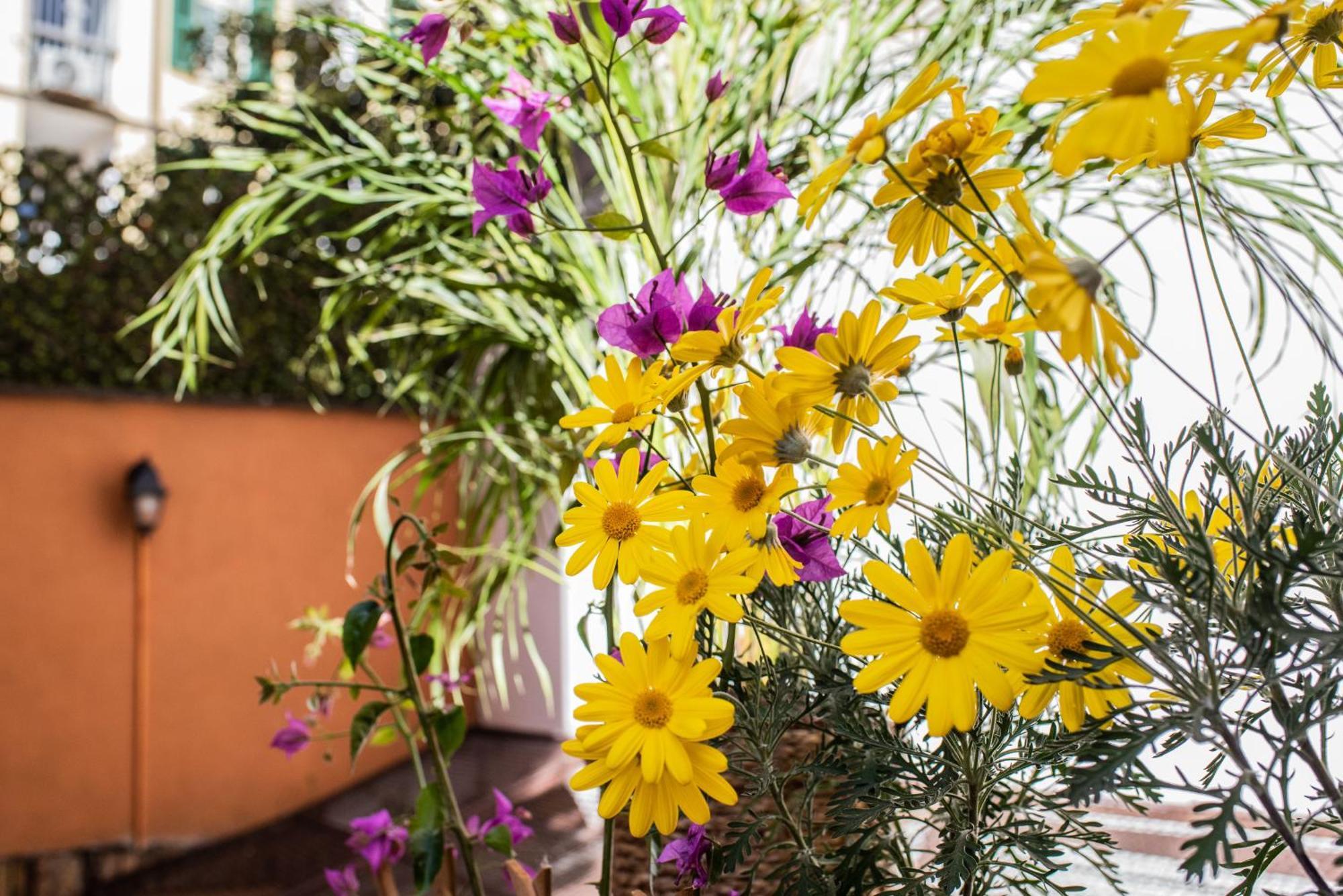 Apartment Spanish Steps & Terrace *