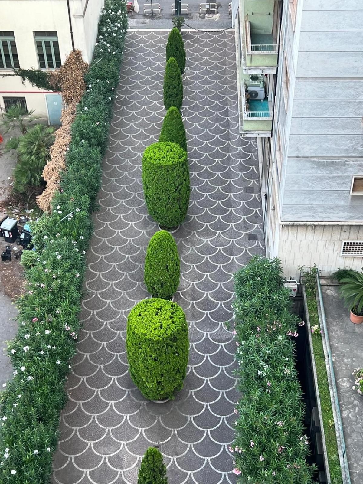 Apartamento Luce, Silenzio Ed Eleganza Nel Cuore Di Roma