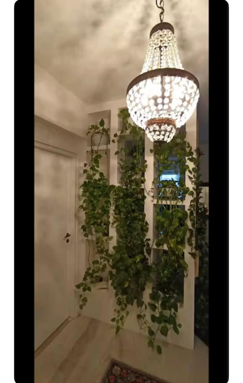Casa Serenissima Barbara Bonanno Rome