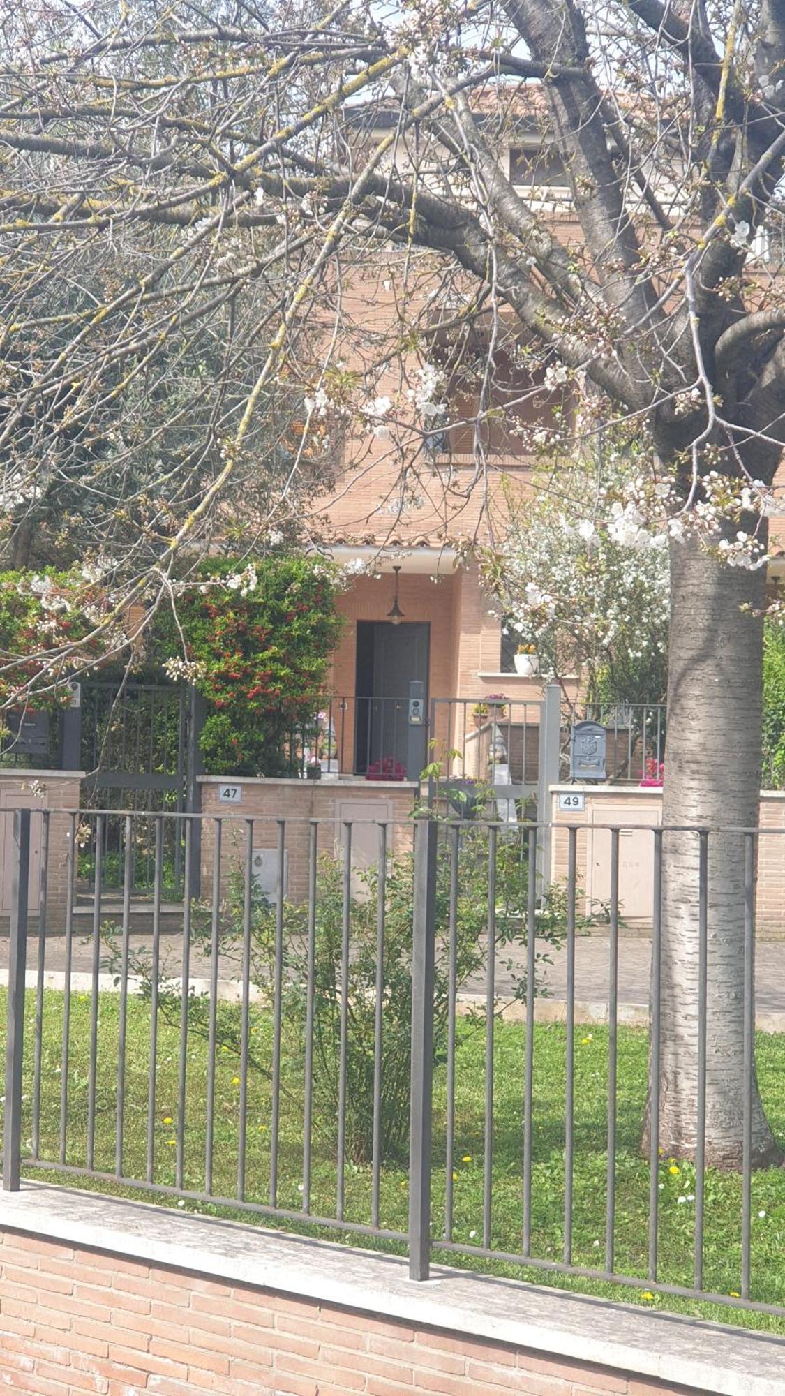 Domus Guest house *