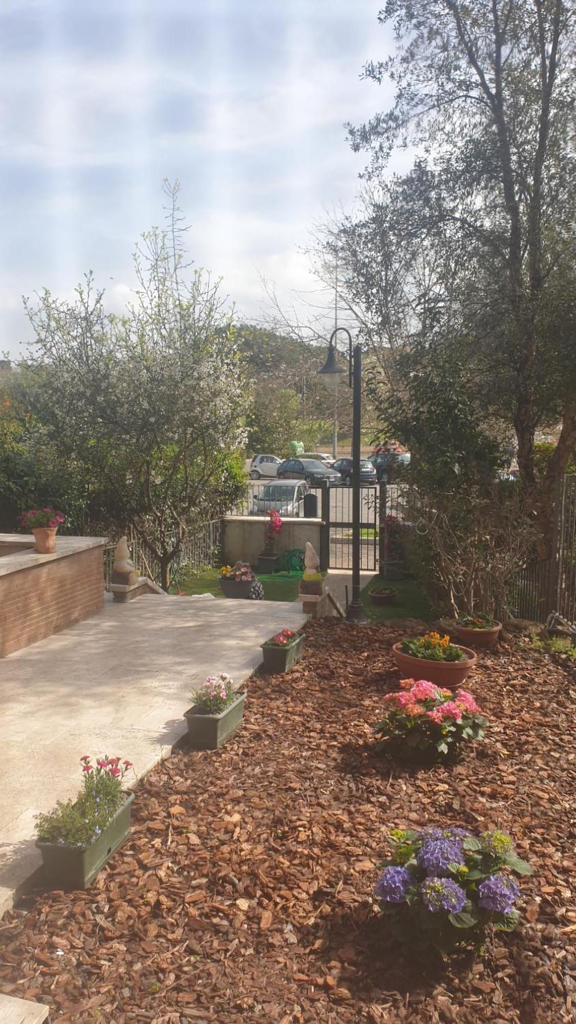 Guest house Domus *