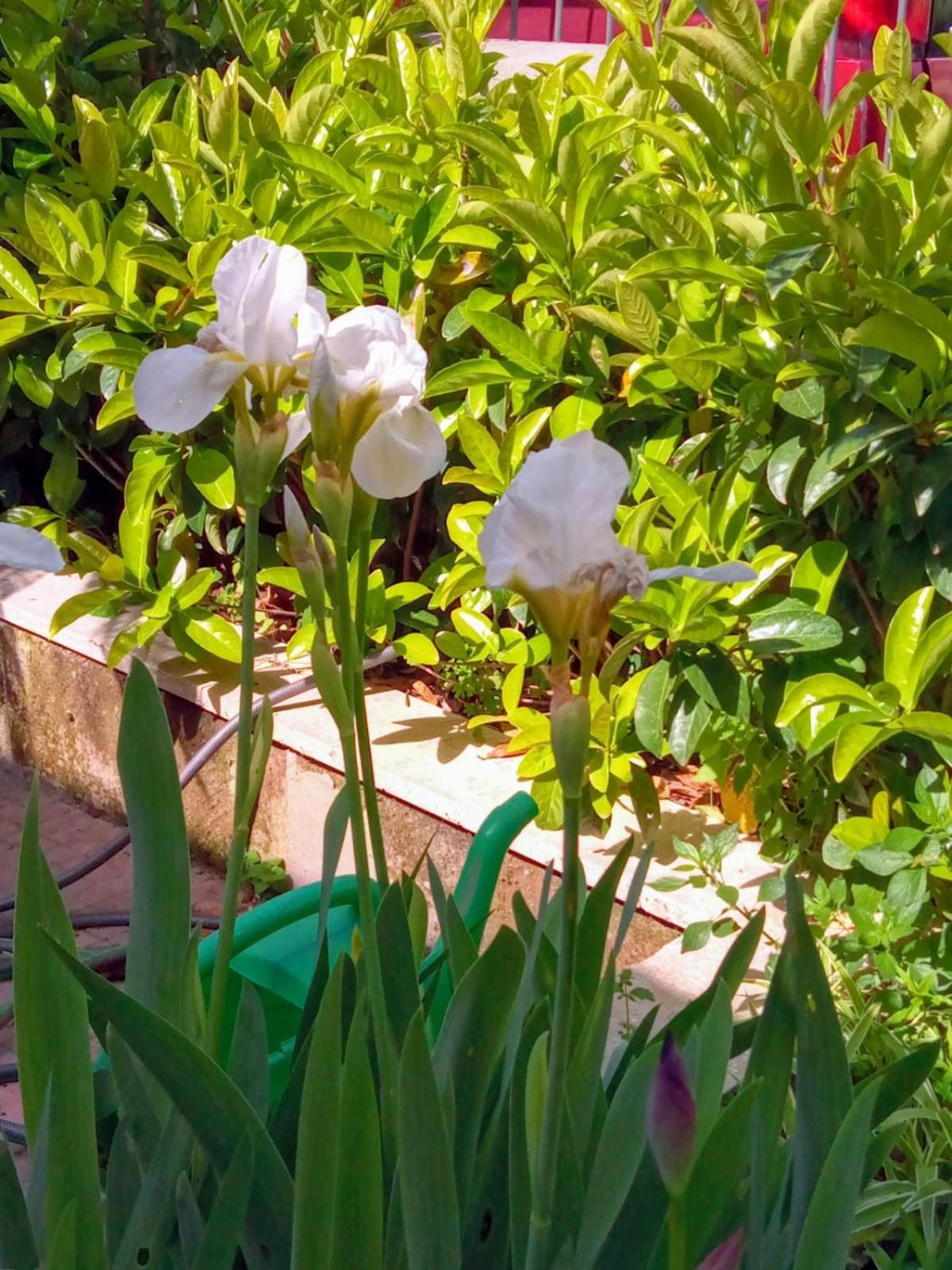 Hébergement de vacances Antico Gelso