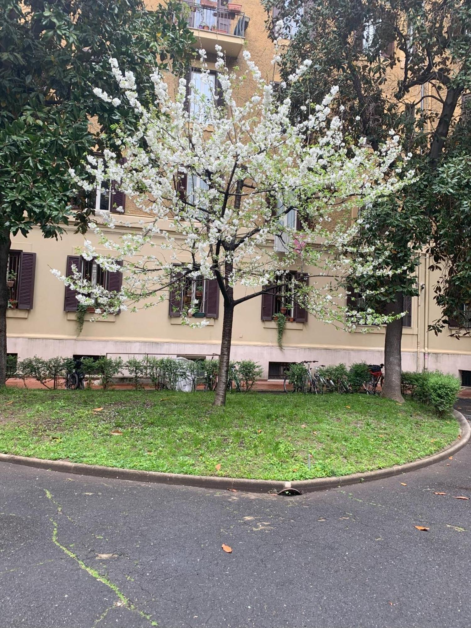 Apartment Milizie *