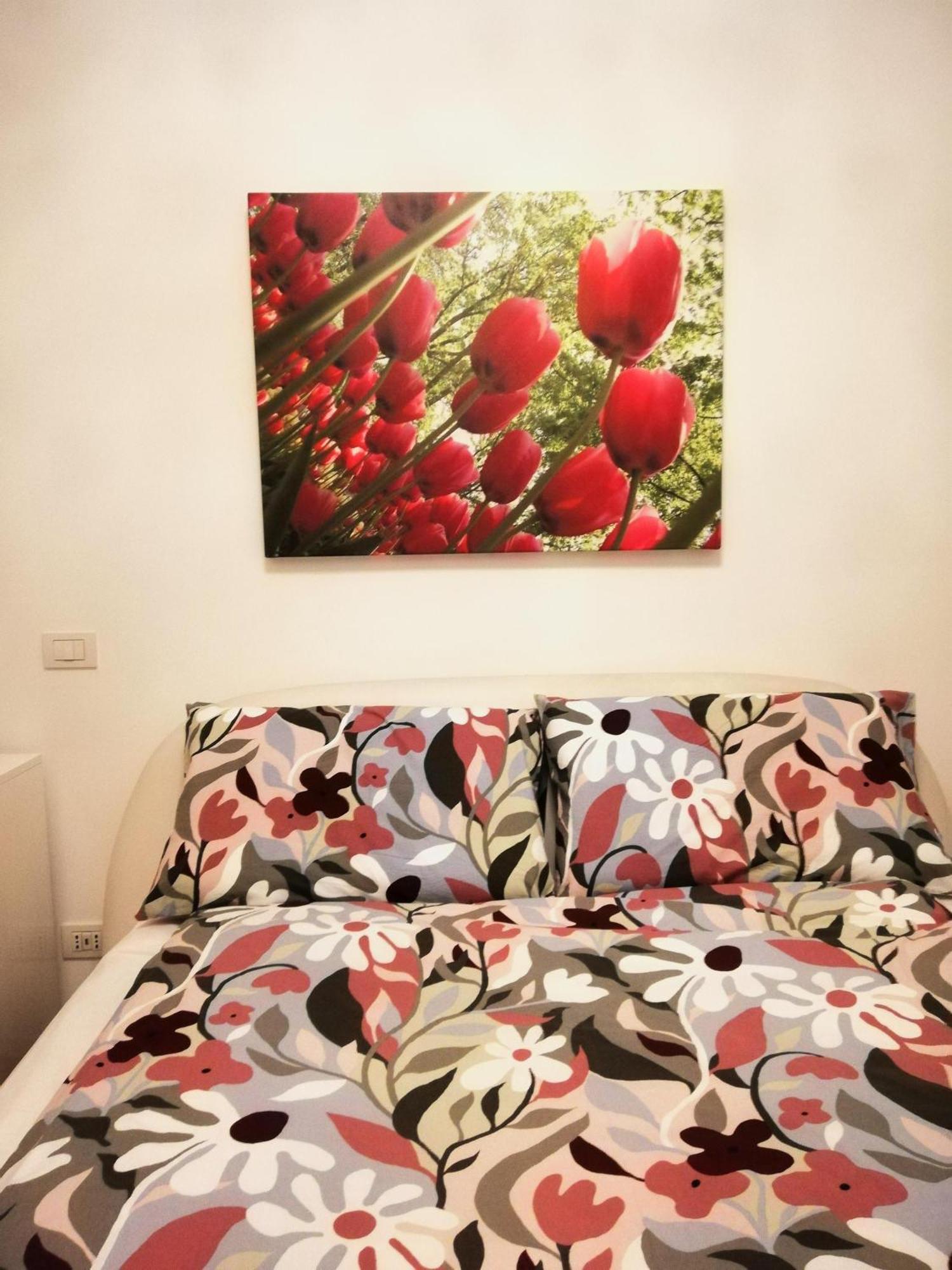 Apartment Domus Aqua Luxury