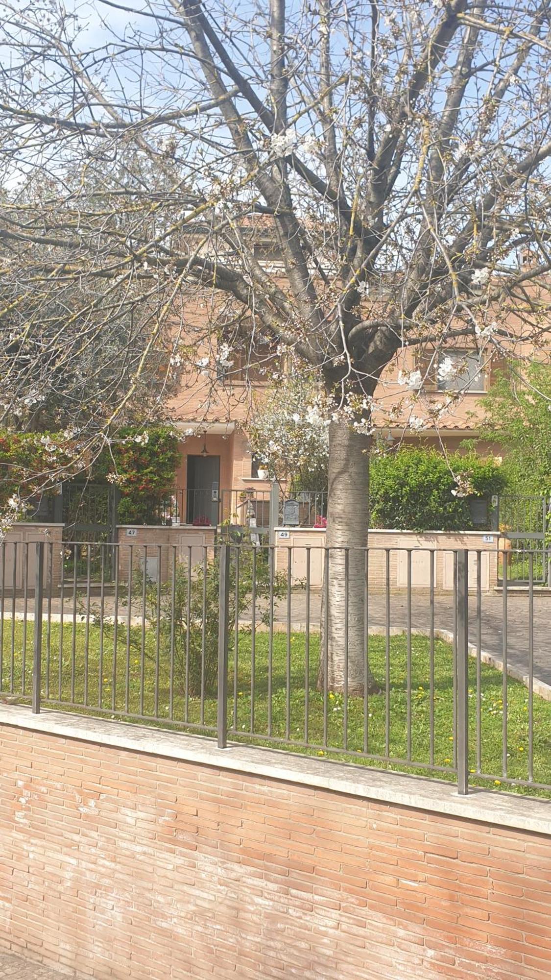 Domus Guest house *