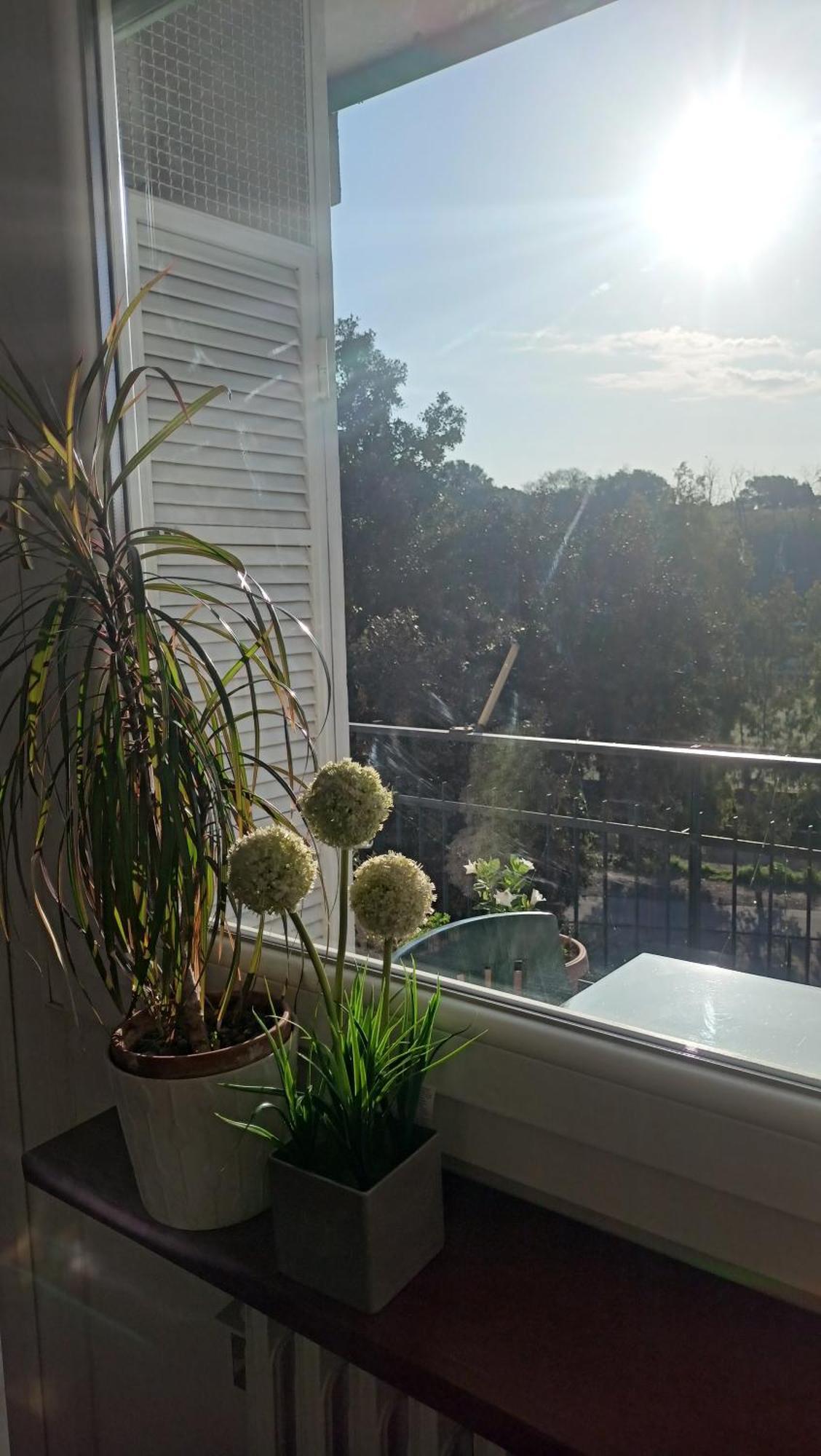 Apartment Boutique Vicino San Pietro Rome