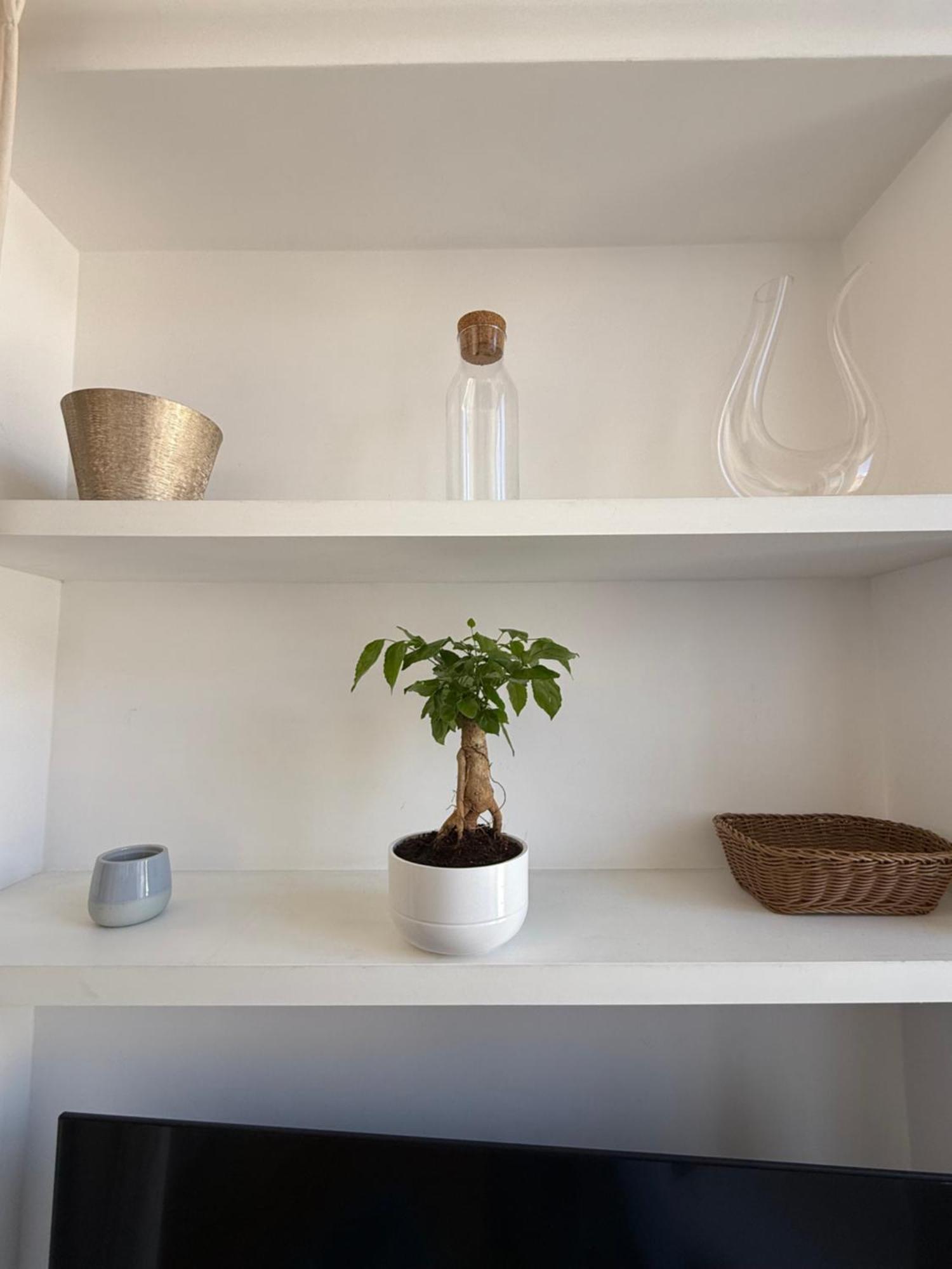 Apartamento Piazza Venezia *