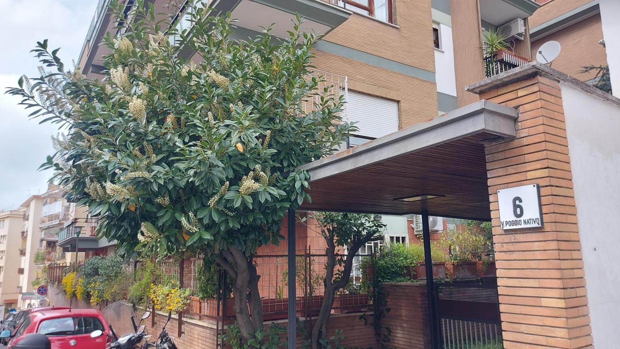 Isabella Apartamento