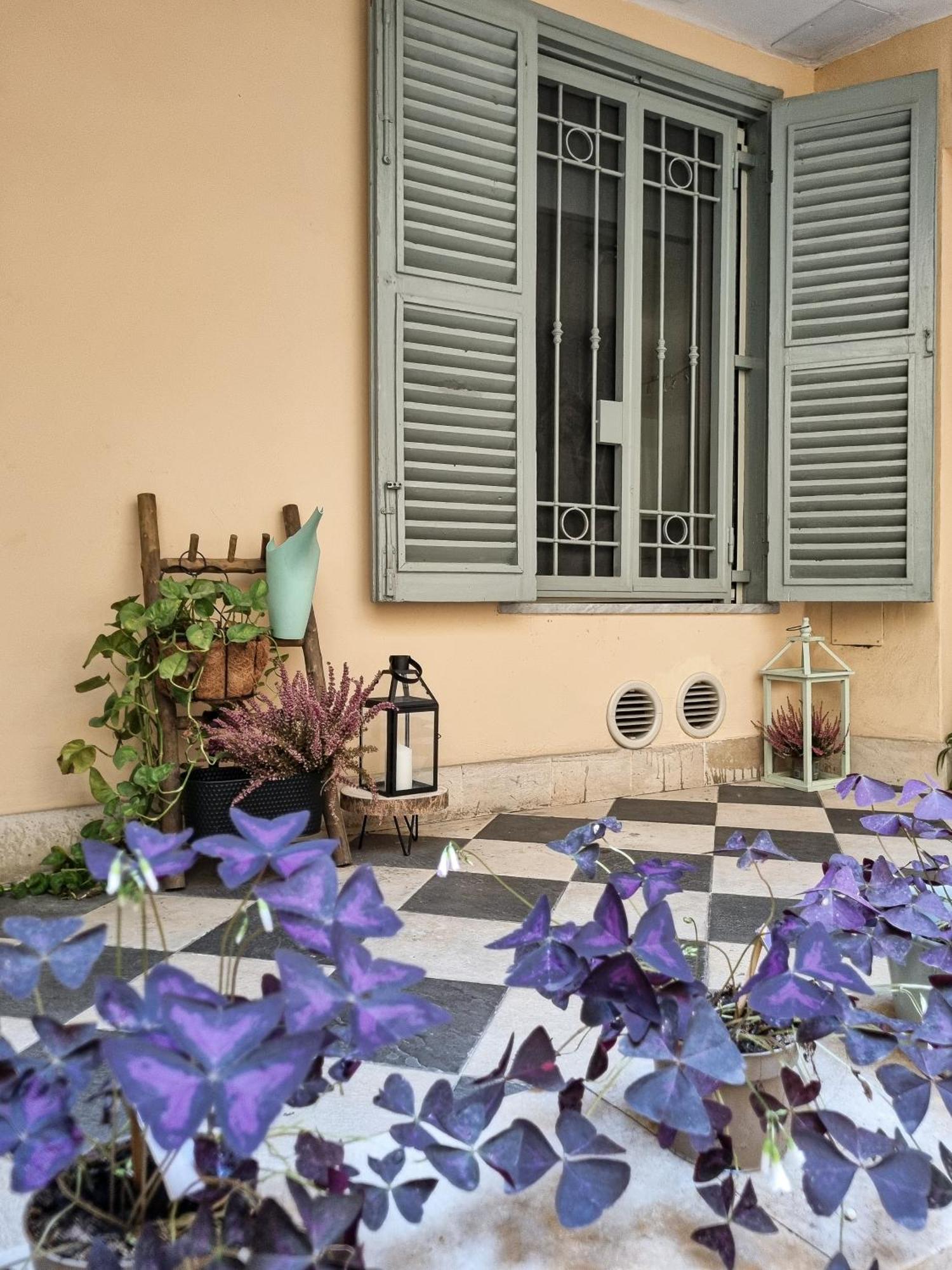 Apartment Colosseum Luxury