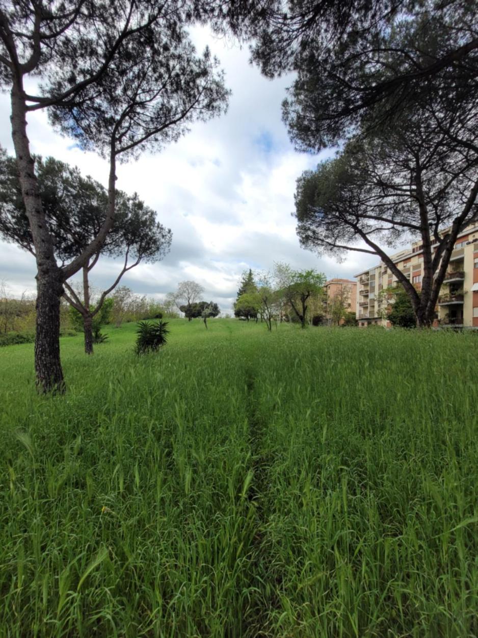Panoramico Eur Apartamento *