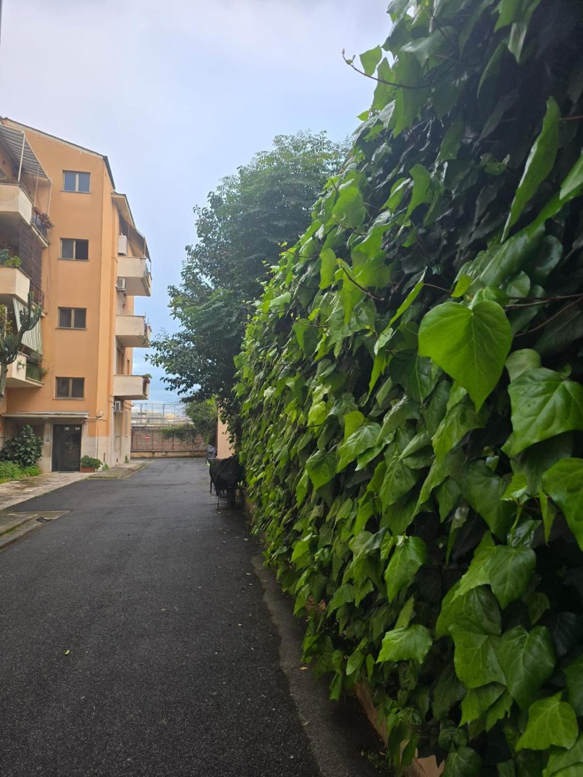 New Biancaapartment Apartment Rome