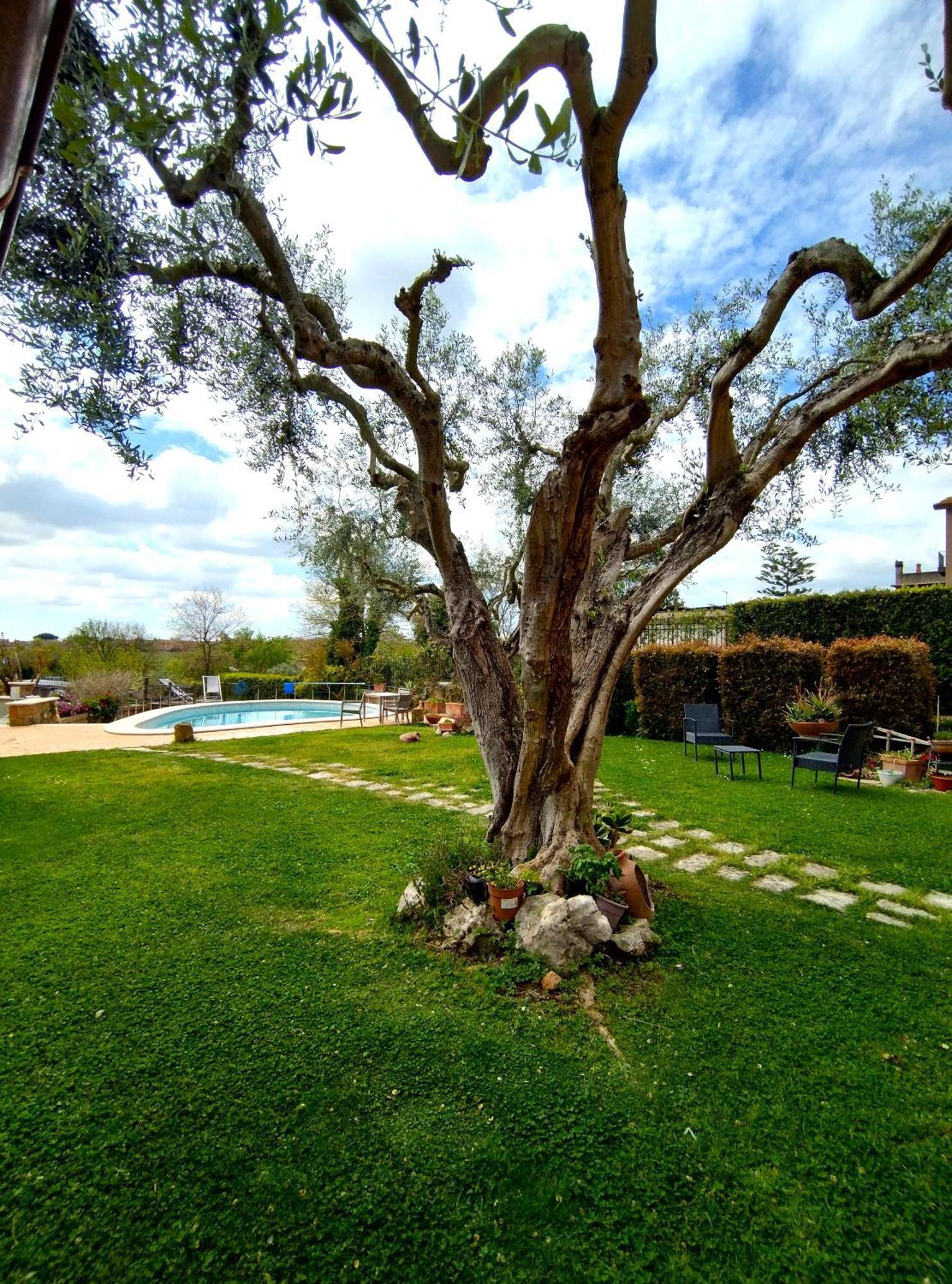 Bed & Breakfast La Valle Dei Casali Com Rome
