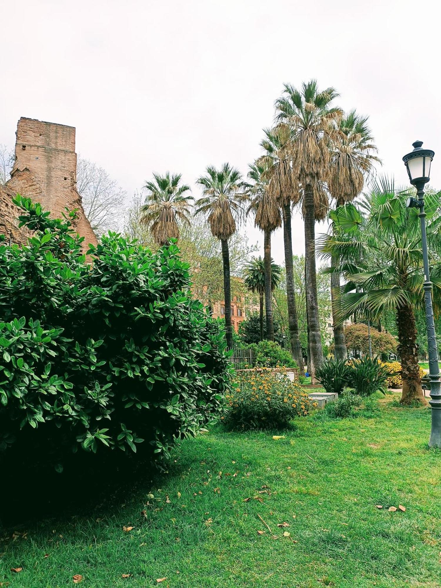 Porta Maggiore 9 Locazione Turistica Homestay Rome