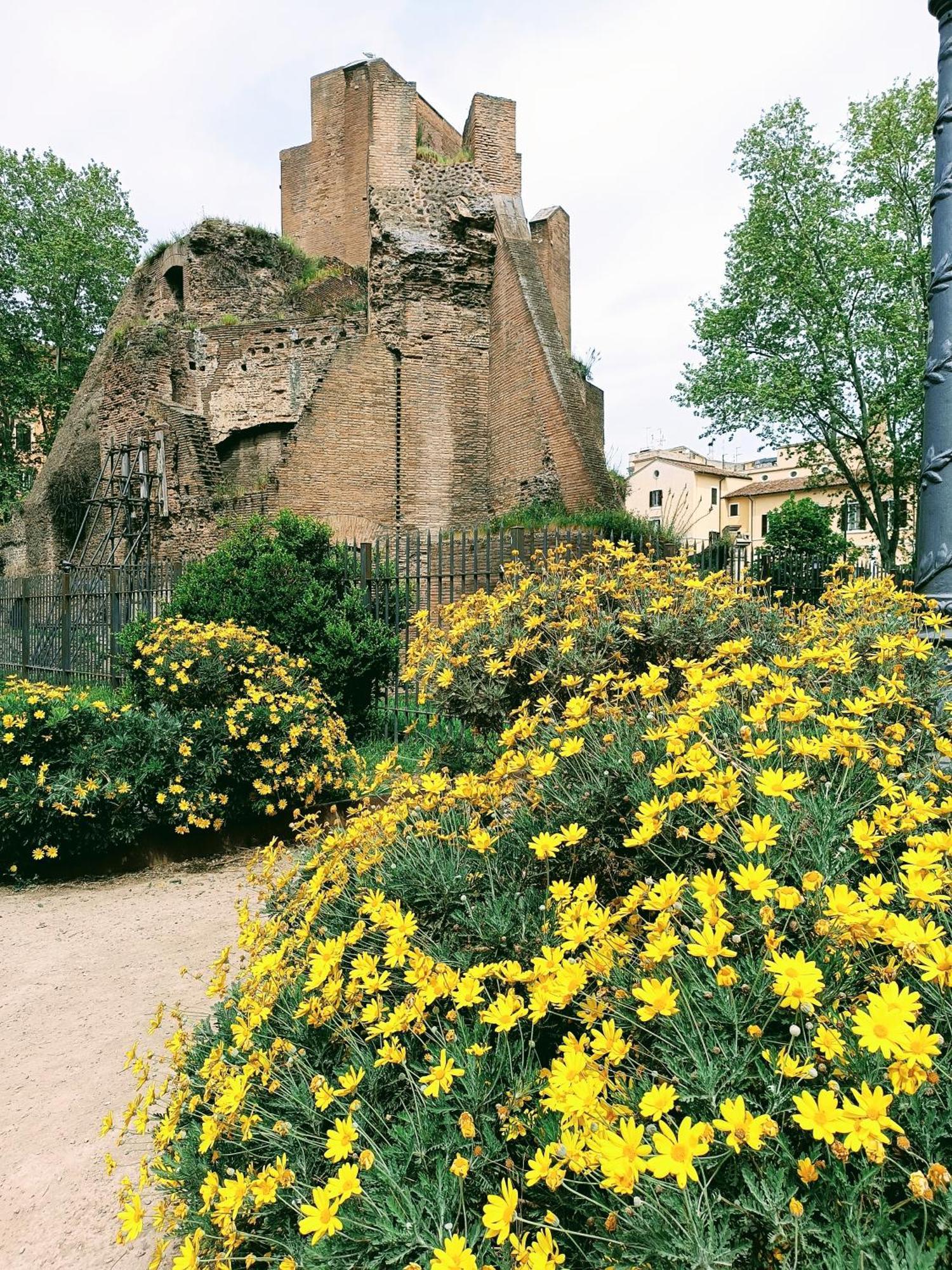 Porta Maggiore 9 Locazione Turistica Accommodatie bij particulieren Rome