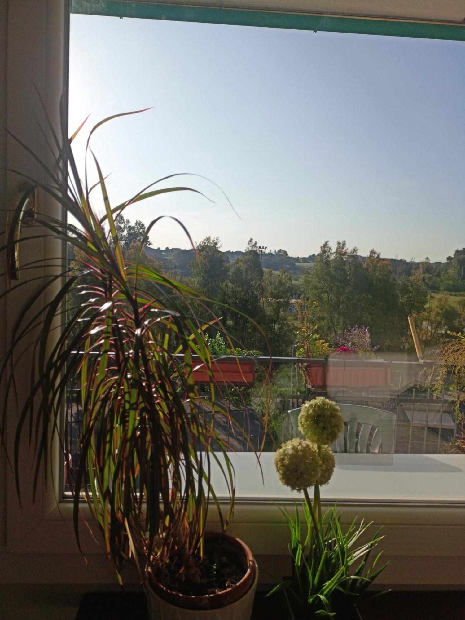 Boutique Vicino San Pietro Apartment Rome