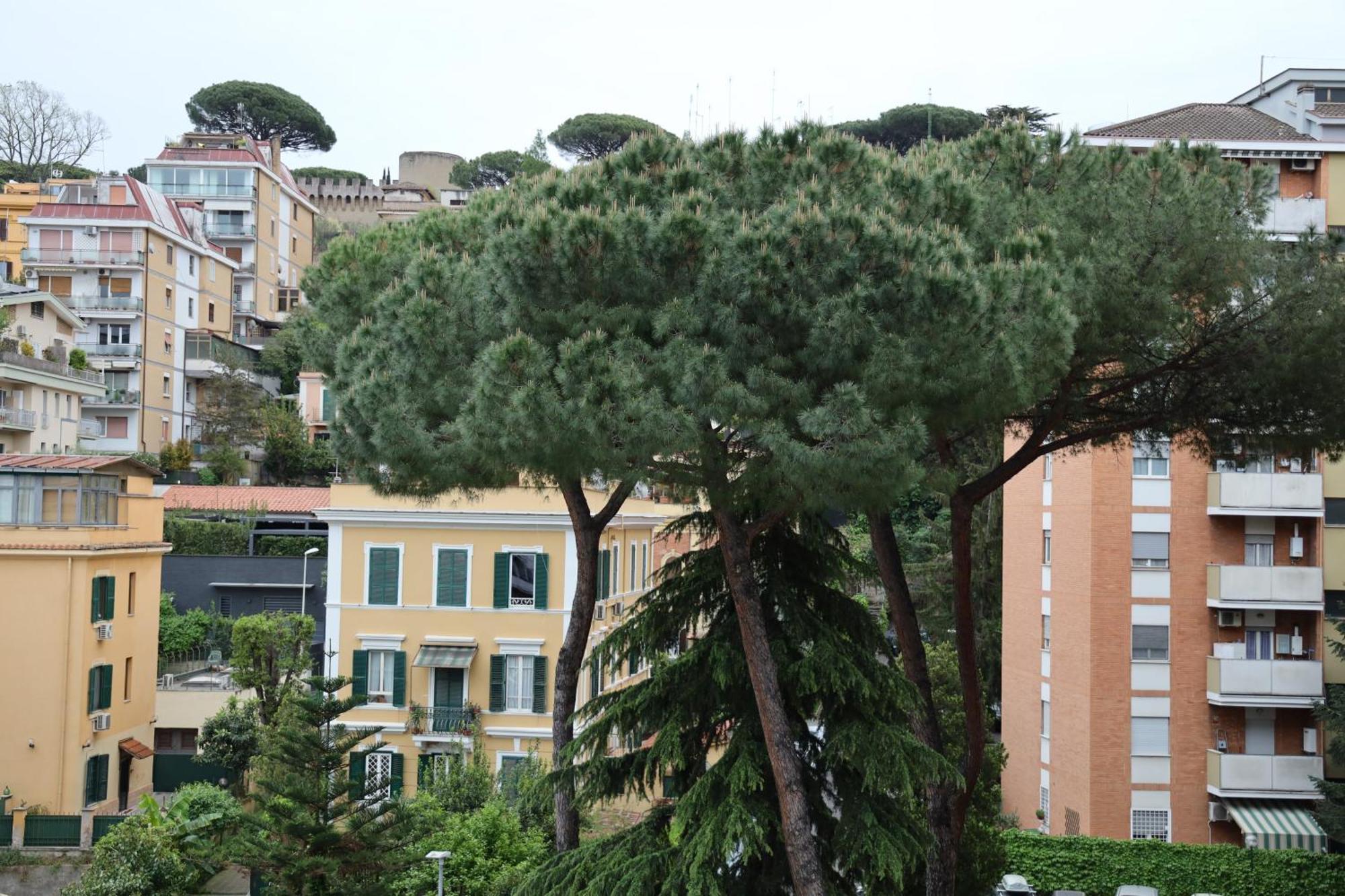Guest house The Romex