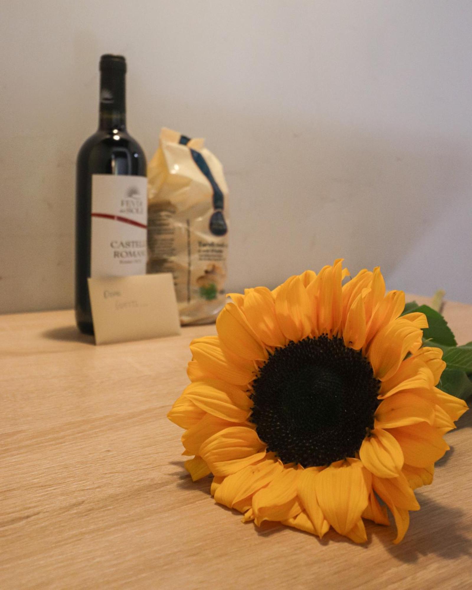 Ciambella Cozy Flat Rome