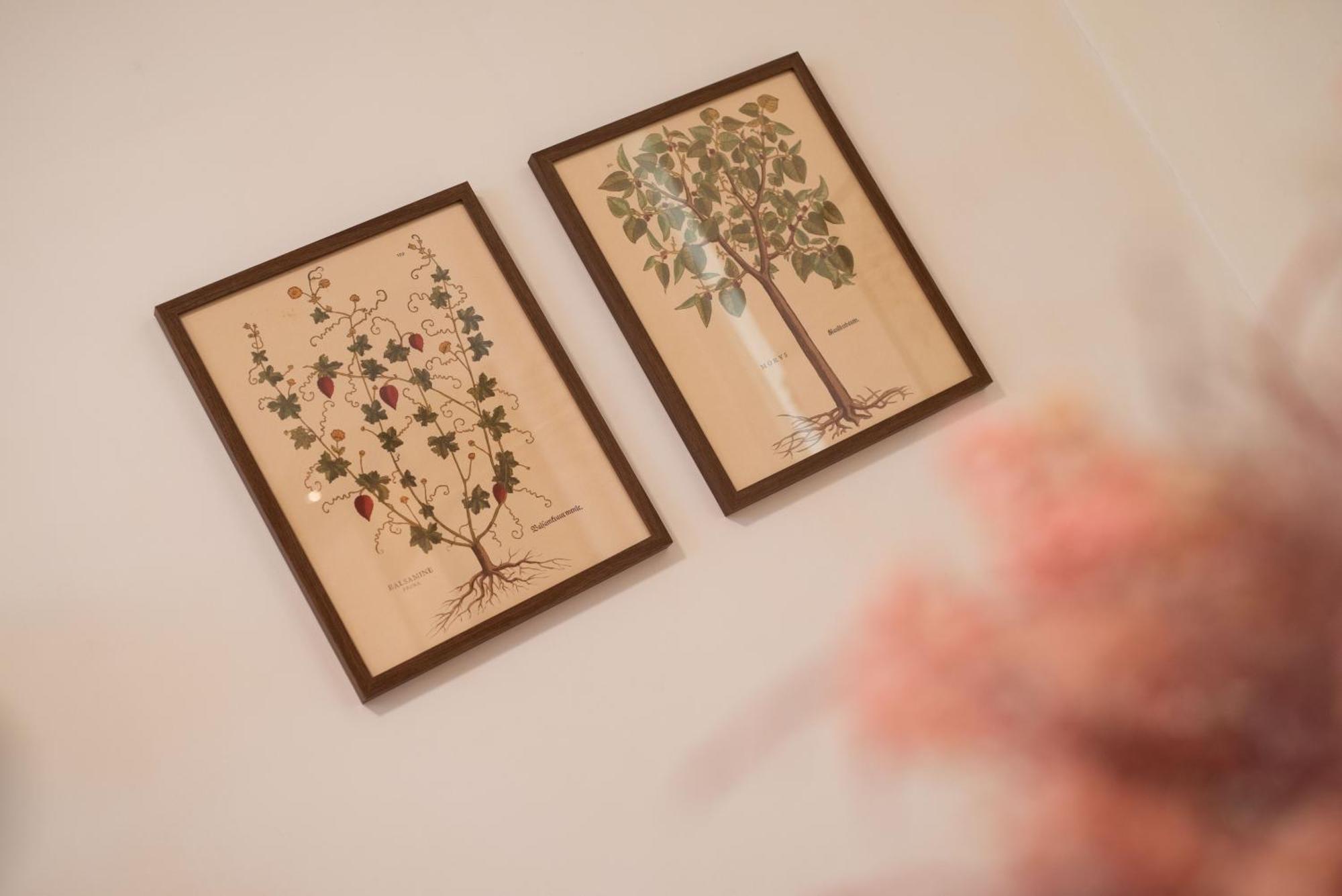 Romantica Laterano Apartment Rome