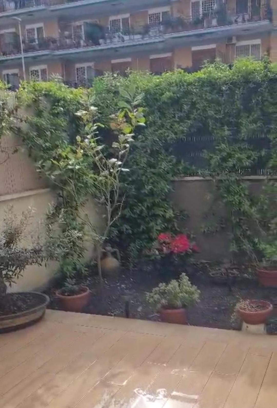 Monolocale Nuova Costruzione Con Giardino