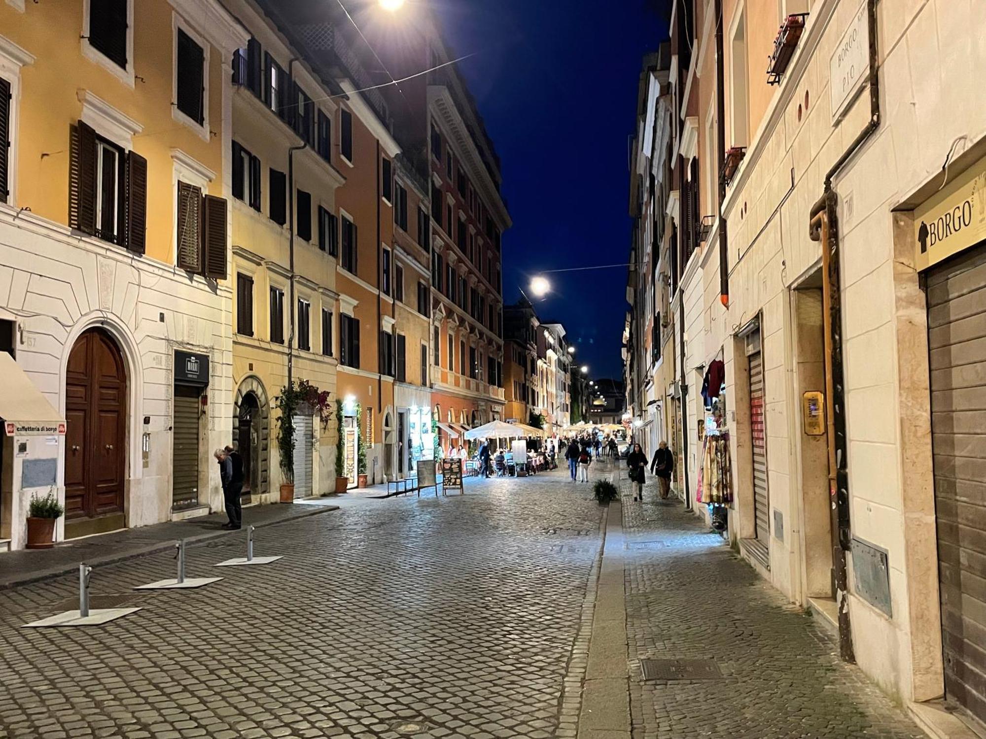 Divine Terrace Stylish St Peter Appartamento Roma