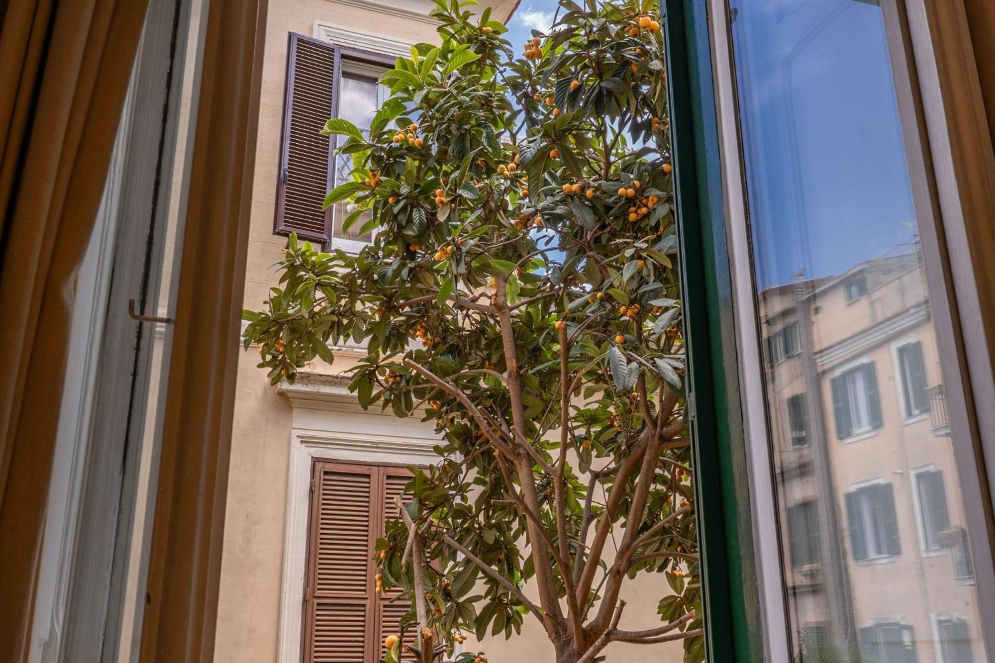 Imperia Casa de hóspedes Roma