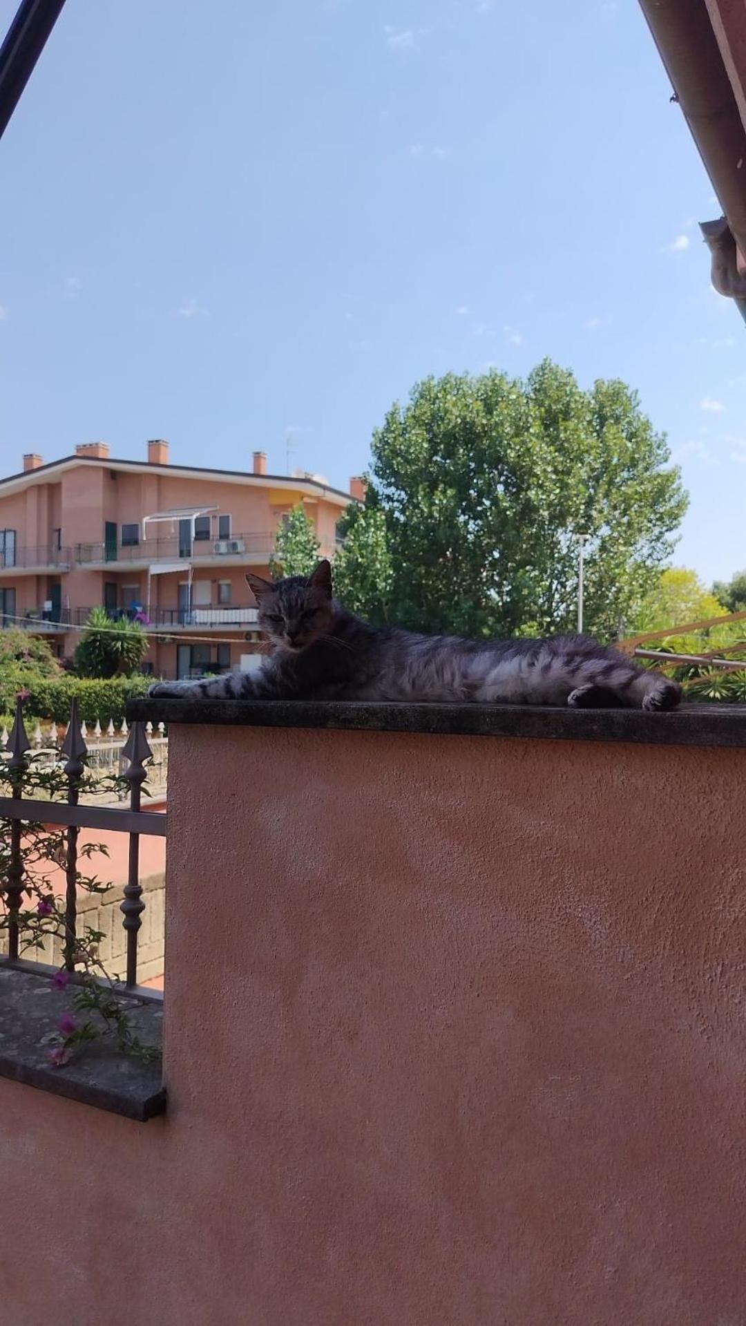 Apartment Grazioso Tra E Il Mare Rome