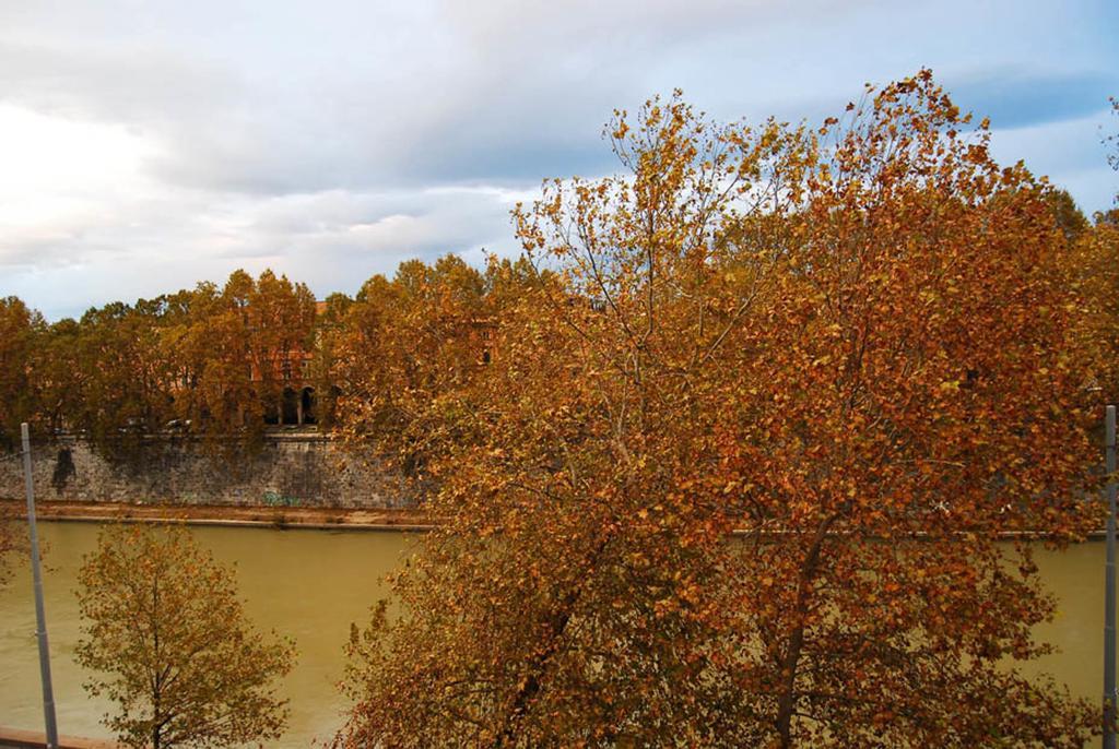 Over The Tiber Loft *