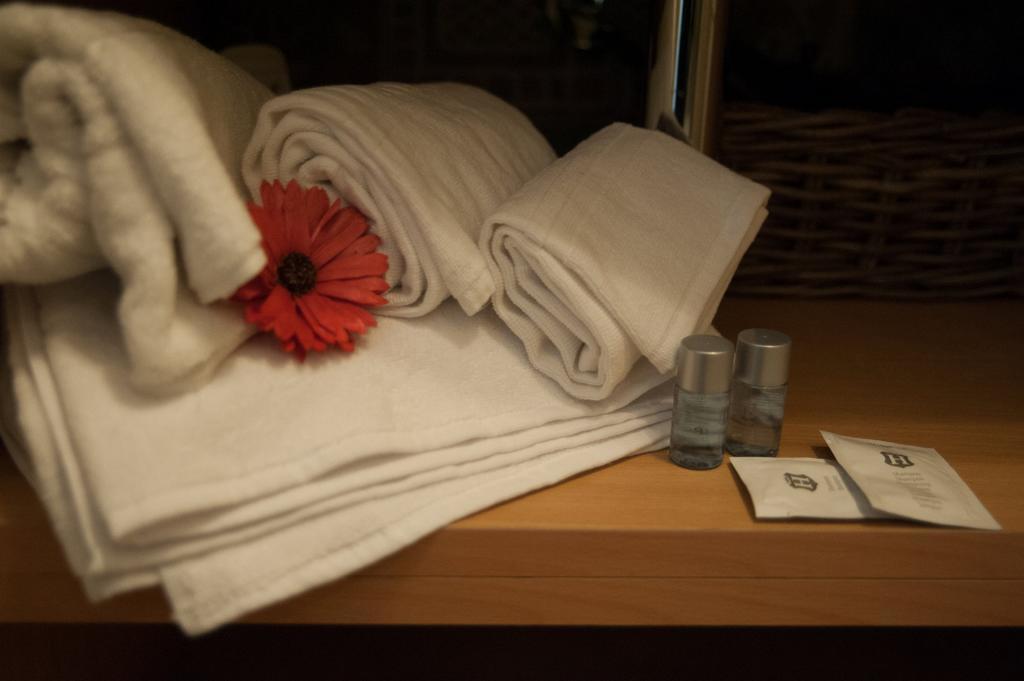 Gasthuis Davinci Relais Rome
