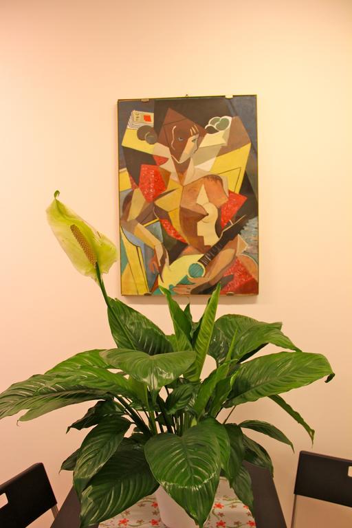 Guest house Lo Rome