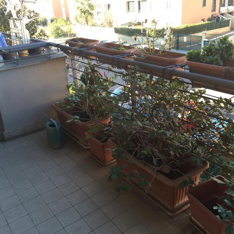 Casa Antonella Appartement *