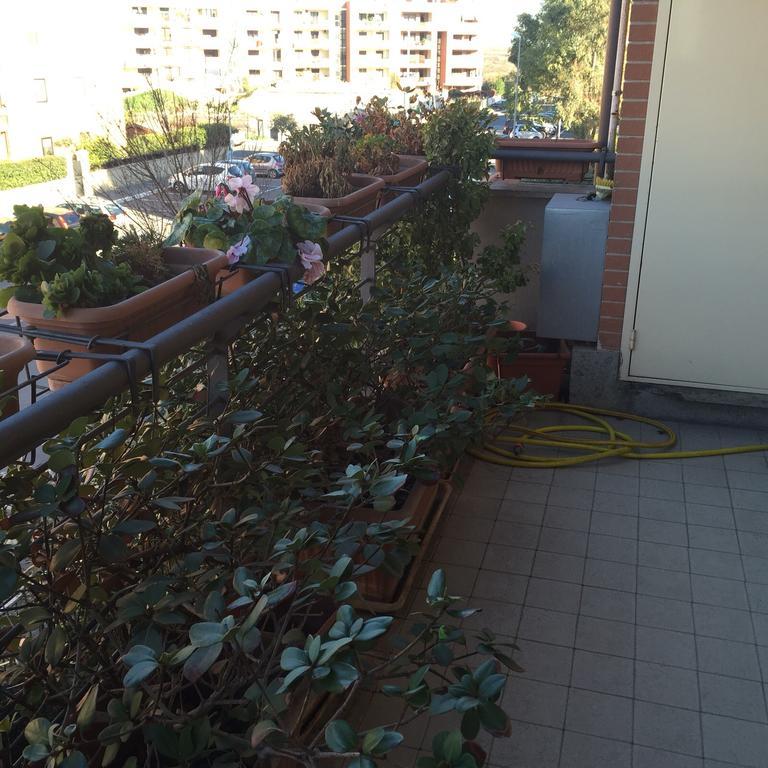 Casa Antonella Rome