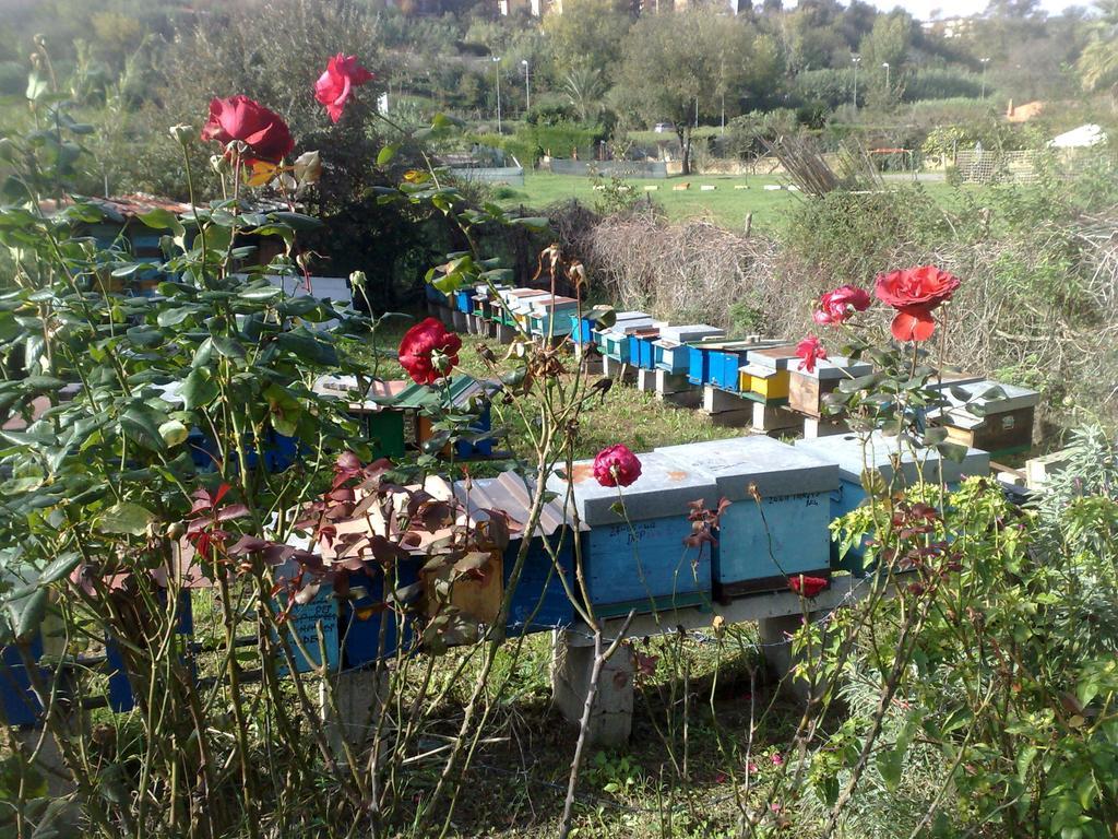 Il Giardino Di Gabri Acomodação com café da manhã 