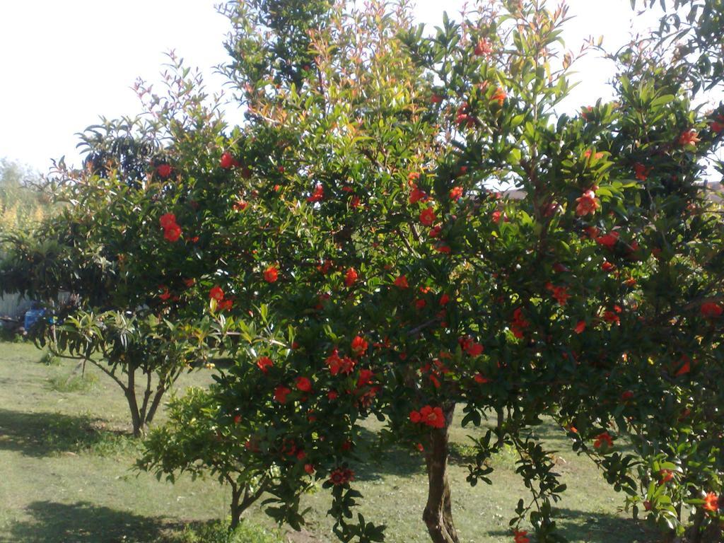 Il Giardino Di Gabri *