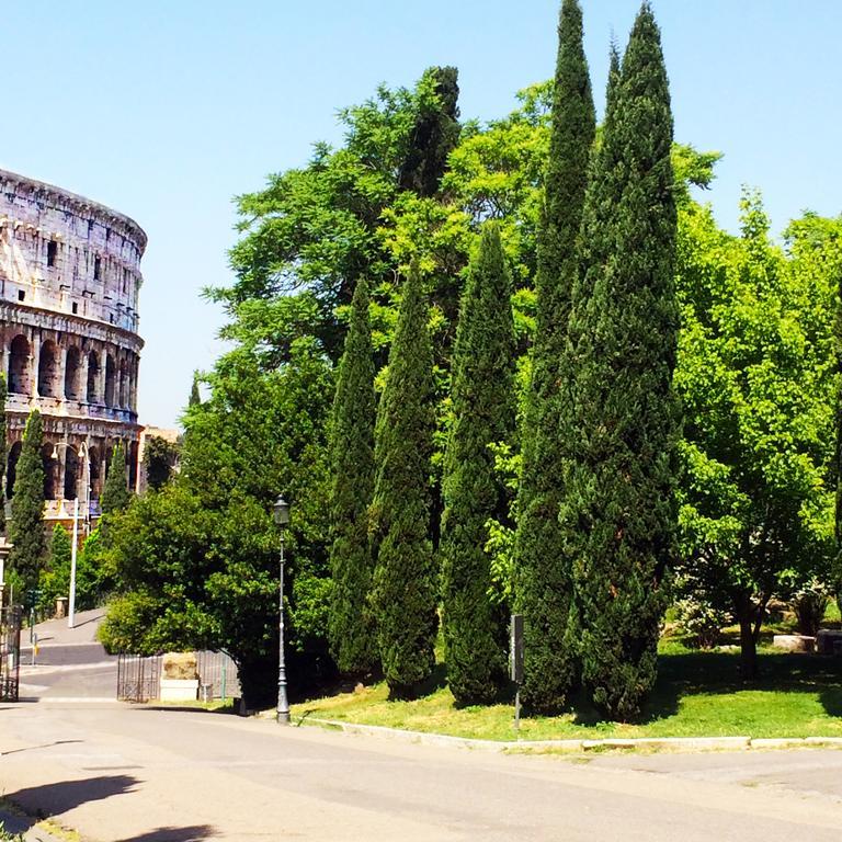 Miclad Colosseum