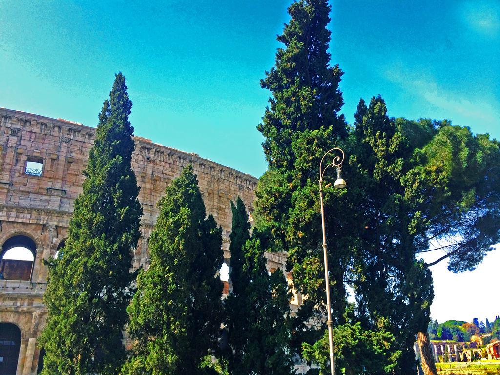 Miclad Colosseum Rome