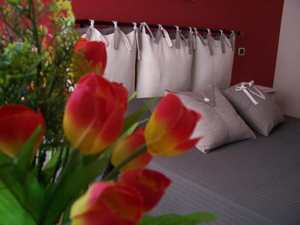 Bed & Breakfast Divina Rome
