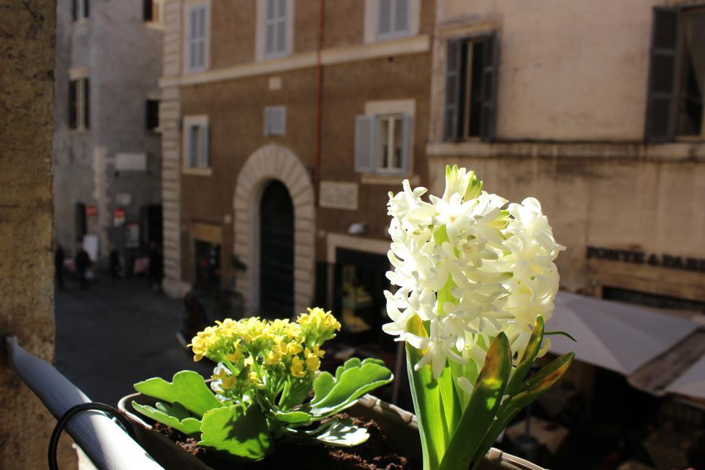 Hub Navona 3* Rome