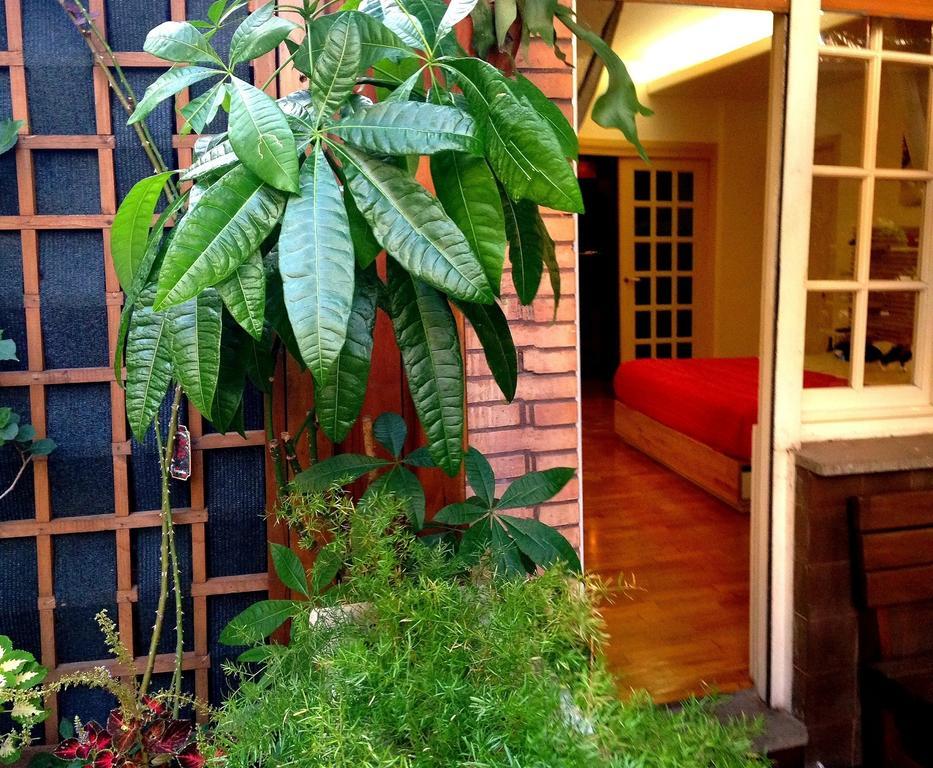 Il Limone Nascosto Guest house