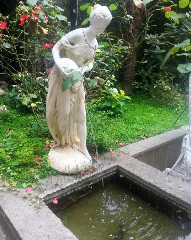 Guest house Il Limone Nascosto Rome