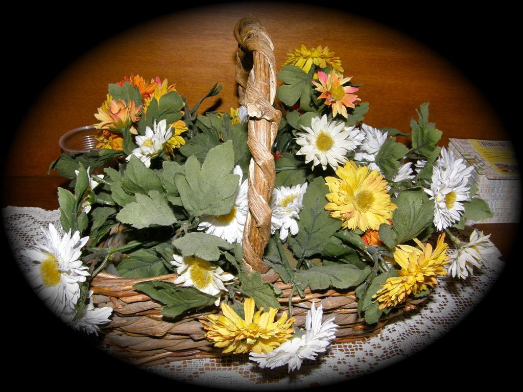 Guest house Sant Andrea *