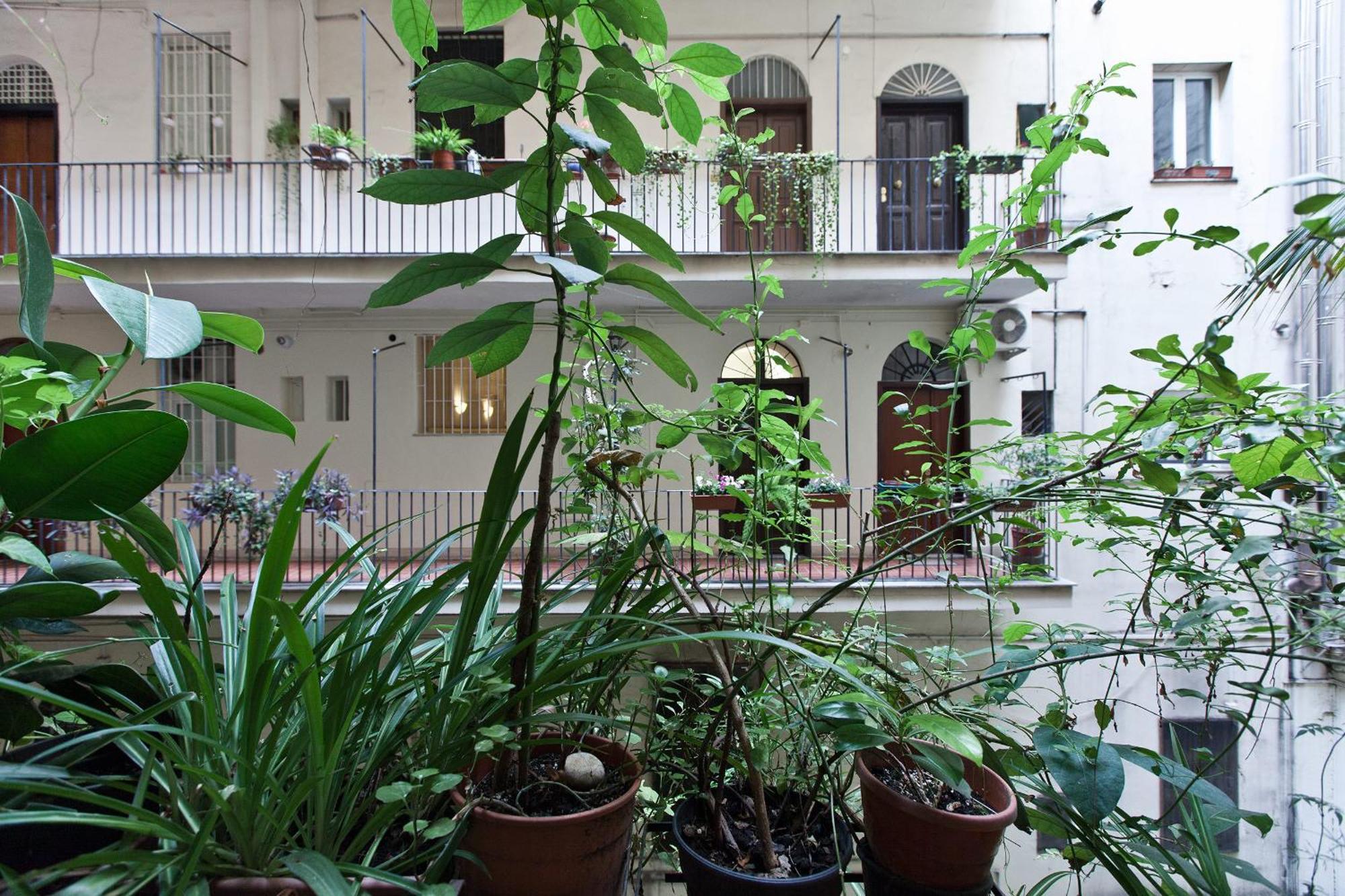 Appartement Gianicolo House Rome