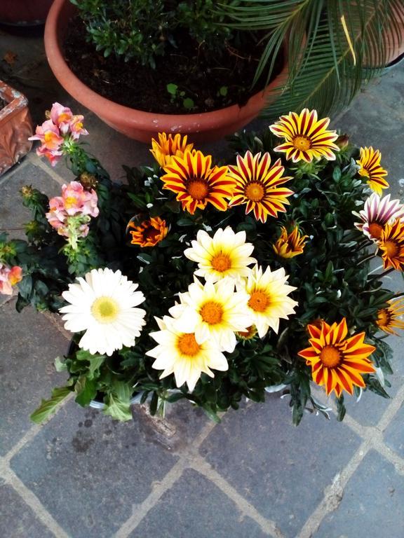 Bed & Breakfast La Casa Di Ro Rome