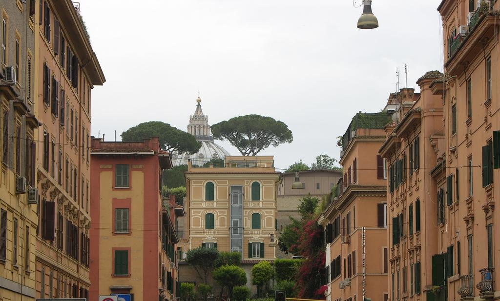 Vatican White Domus