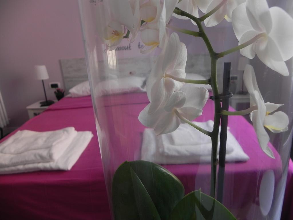 Guest house Vica Pota