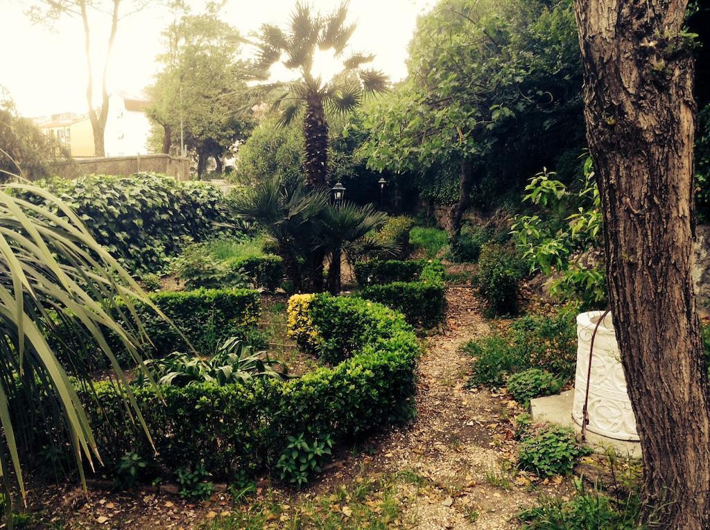 Guest house Drusilla *