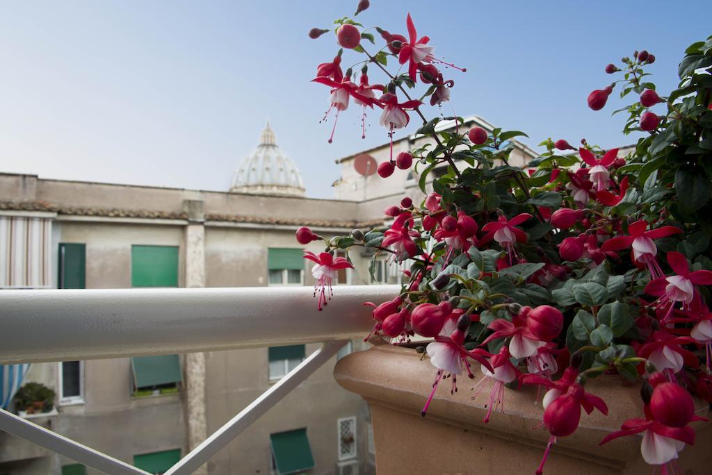 Di Fronte Cupola