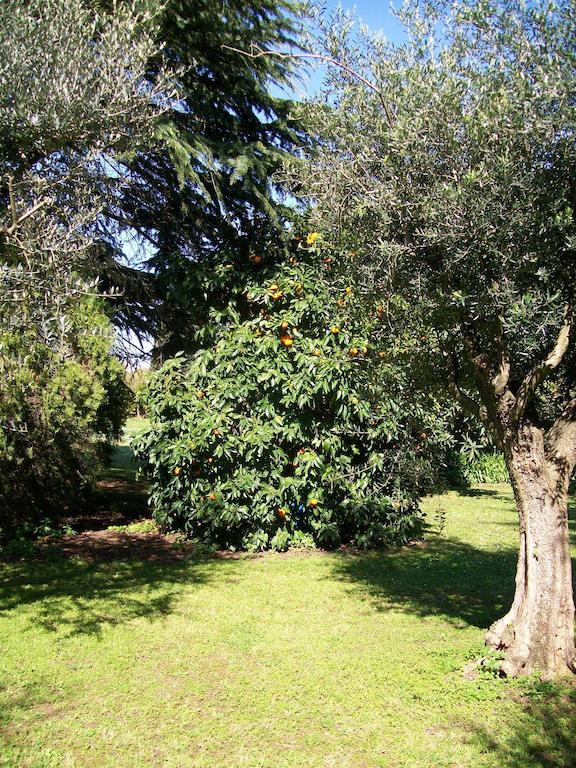 Apartment Casale Di Caccia Rome