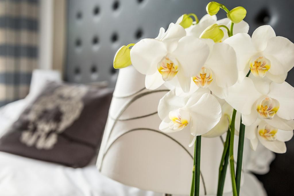 Bed & Breakfast Little Rose 5*