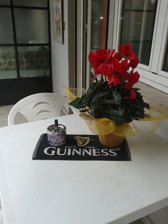 Bed & Breakfast In Rima