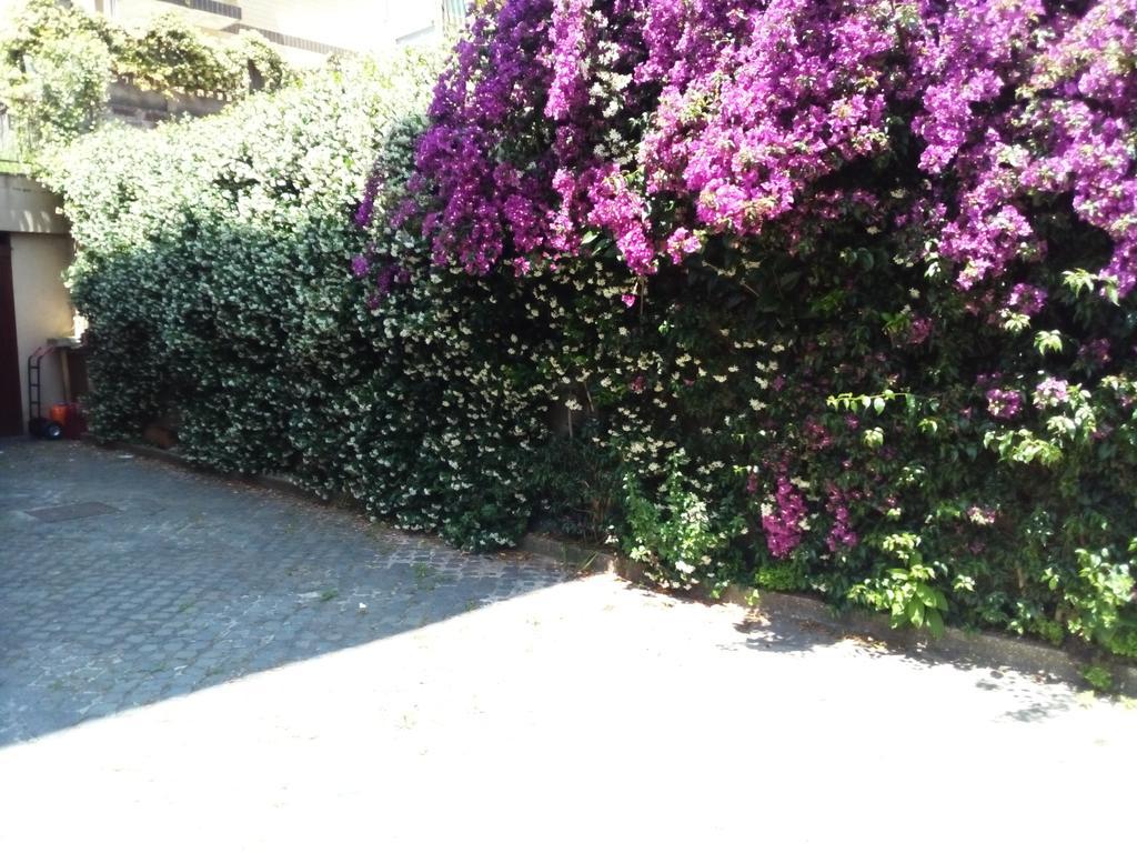 La Casa Di Ro
